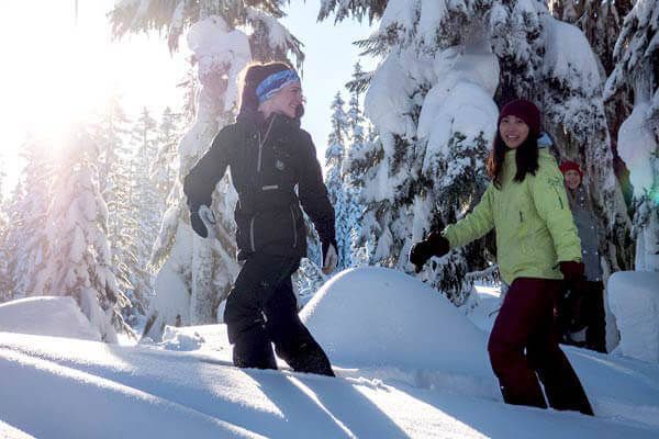 Whistler Snowshoeing Tour - Ancient Cedars